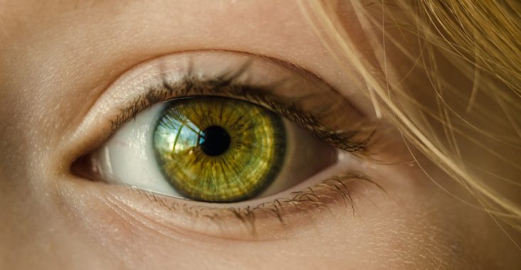 Gros plan sur les maladies de l’œil les plus fréquentes