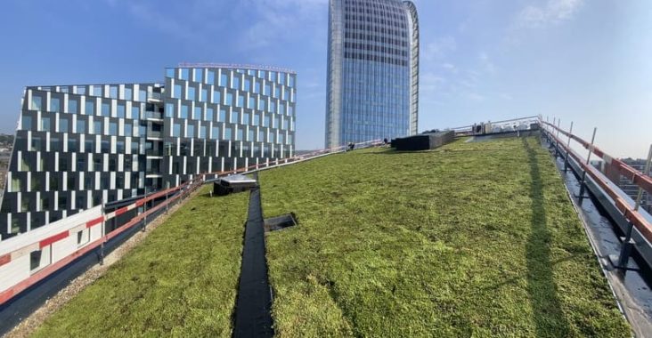 Toiture végétalisée à Liège
